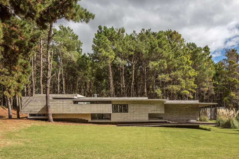 Forest House